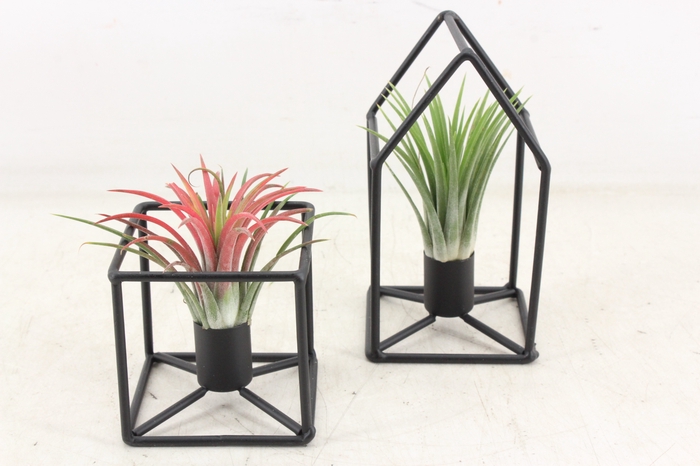 <h4>arr3 CP - House/square frame mix</h4>