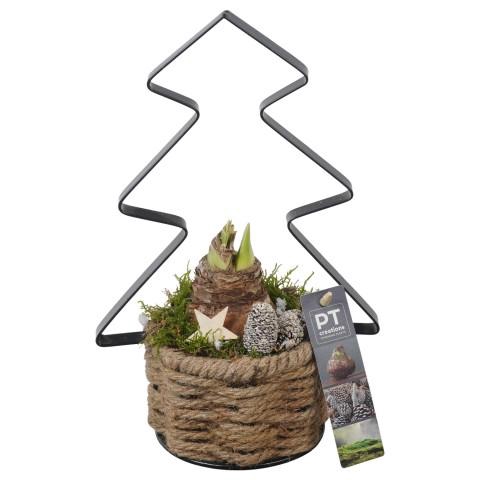 <h4>PTACH5907 Arrangementen Kerst</h4>