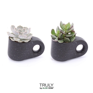 TRULY succulent, Penguin pot Black