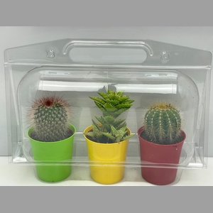 CACTUS GEM