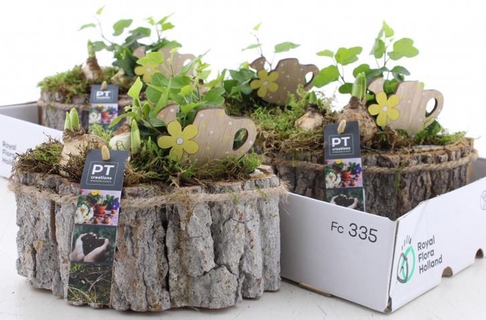 <h4>ARR PL IN SCHAAL</h4>