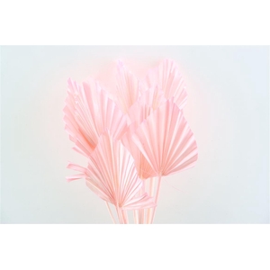 Dried Palm Spear 10pc Lightpink Bunch