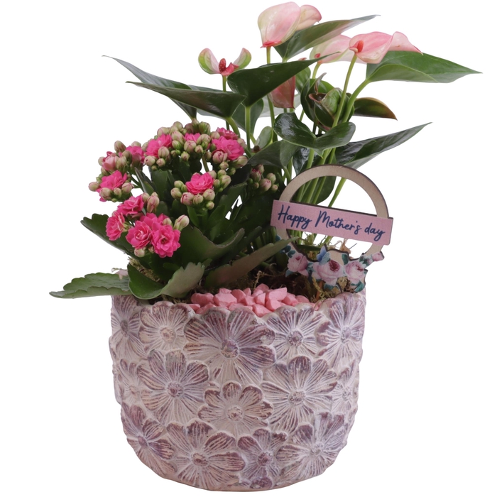 <h4>Mothersday Arr. Indoor Ceramic Pot with Flower Deco Ø14cm 2PP</h4>