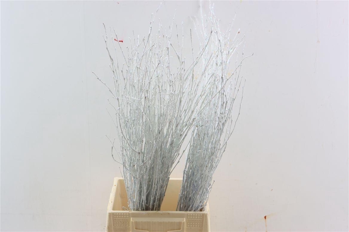 <h4>Berk 70cm Gl Wit Pbs</h4>