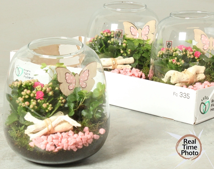 <h4>ARR KAMERPL</h4>