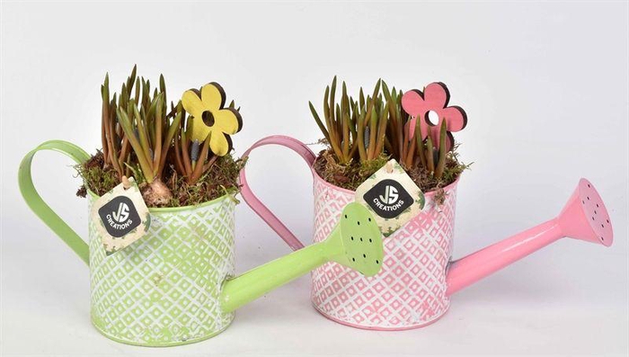 <h4>Zink gieter groen/roze 12cm</h4>