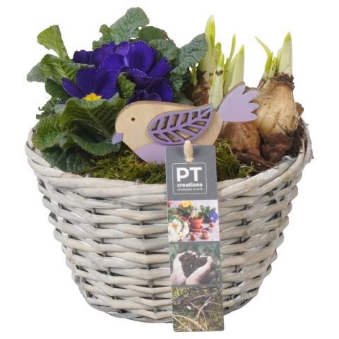 <h4>PTBM3846 Arrangement Flower Bulbs Mix in rieten mand</h4>