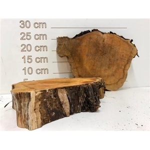 HOUTSCHIJF TAXUS DIK