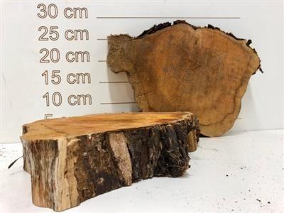 <h4>HOUTSCHIJF TAXUS DIK</h4>