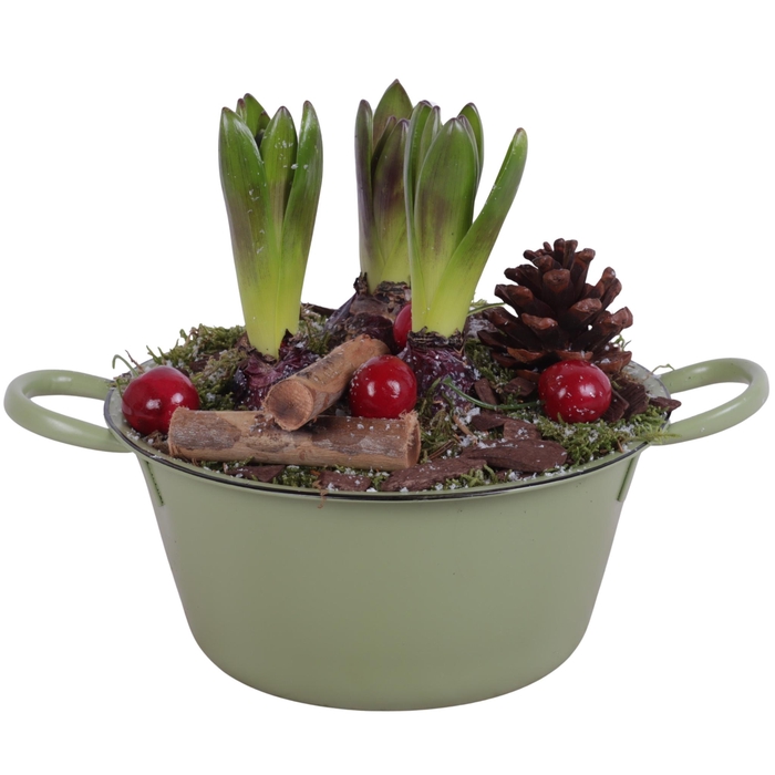 <h4>Winter Arr. Hyacint Zinc Bowl With Handles Green Ø20cm 3PP</h4>