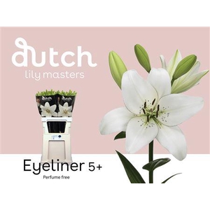 LI LA EYELINER 5