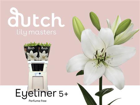 <h4>LI LA EYELINER 5</h4>