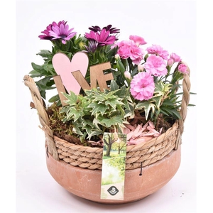 Cement schaal met wilg rand 18cm