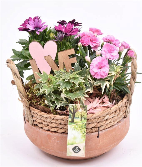 <h4>Cement schaal met wilg rand 18cm</h4>