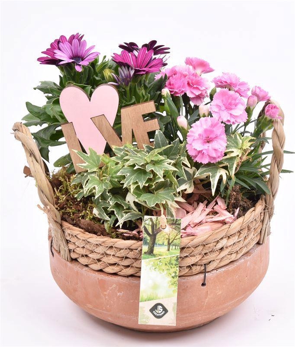 <h4>Cement schaal met wilg rand 18cm</h4>