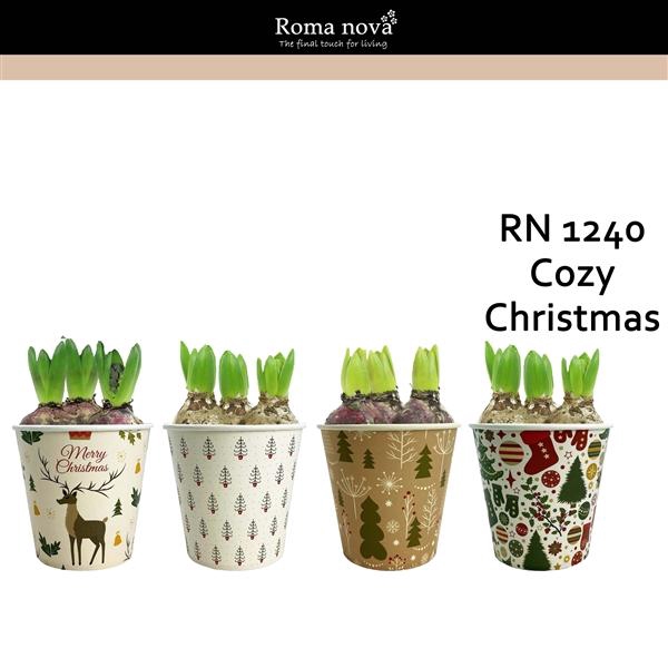 <h4>Arrangementen Hyacinthus 6%</h4>