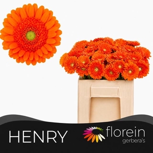 GE MI HENRY
