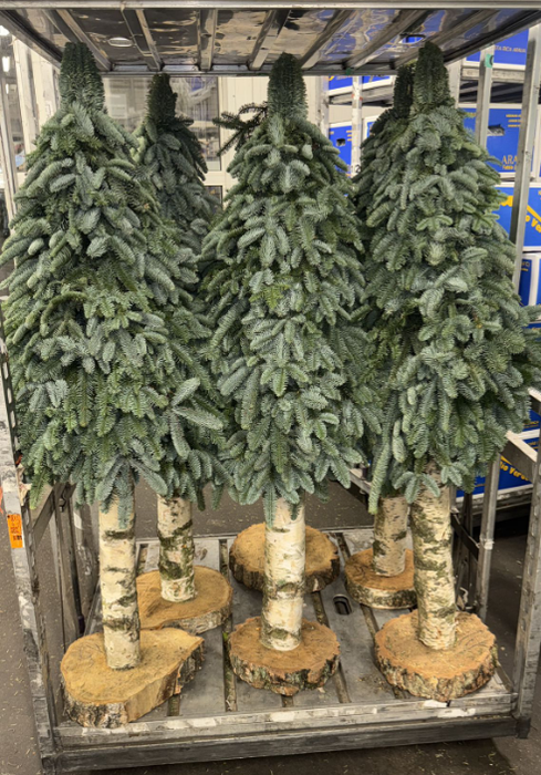 KERSTBOOM OP DIKKE STAM 175 CM