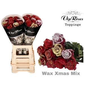 R GR WAX XMAS MIX X20