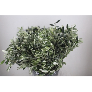 Olijf 400gr P Bunch