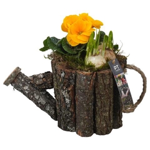 PTBM3960 Arrangementen Tuinplanten