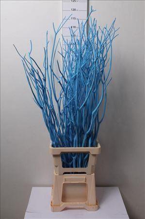 <h4>Mitsumata Col Blauw</h4>