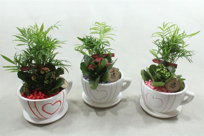 <h4>6627 KOP & SCHOTEL KERAMIEK</h4>