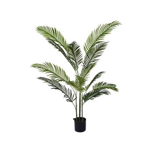 Silk Plant Areca Palm L150D100