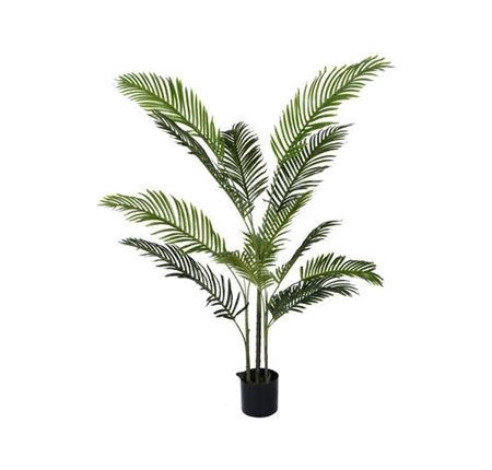 Silk Plant Areca Palm L150D100