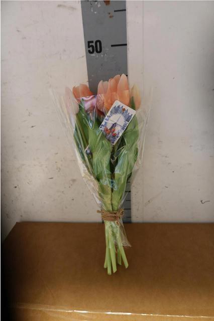 <h4>HUIS EN TUINDECO H%</h4>