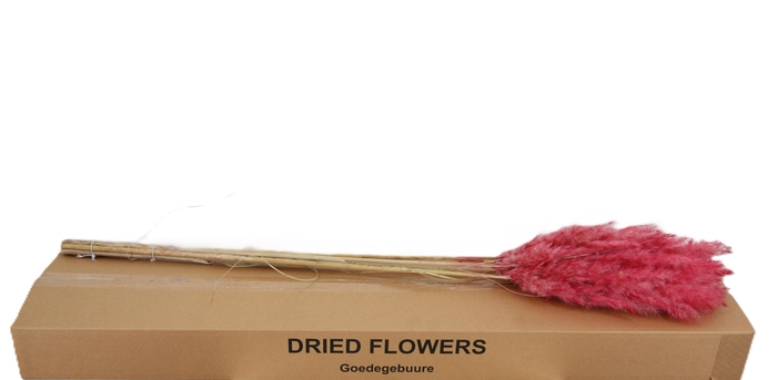 <h4>DROOGBL BEWERKT H%</h4>