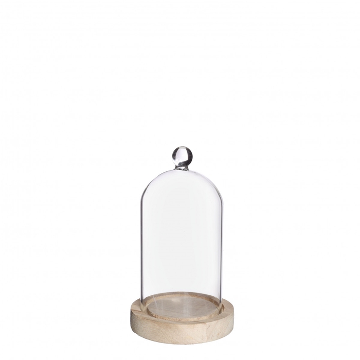 Glas Stolp Knop hout d08/10*17cm