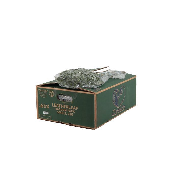 <h4>LEDERVAREN JUNIOR VACUUM CORAZON</h4>