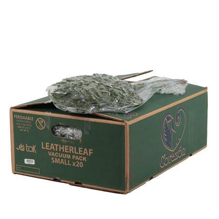 <h4>LEDERVAREN JUNIOR VACUUM CORAZON</h4>