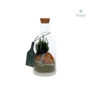 Green Bottle Fles Small Kerst met Chamaecyparis