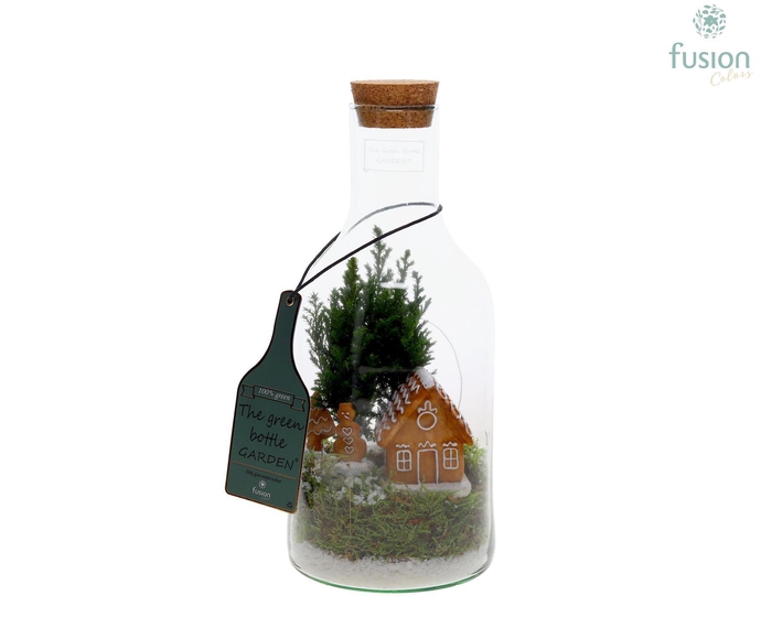 <h4>Green Bottle Fles Small Kerst met Chamaecyparis</h4>