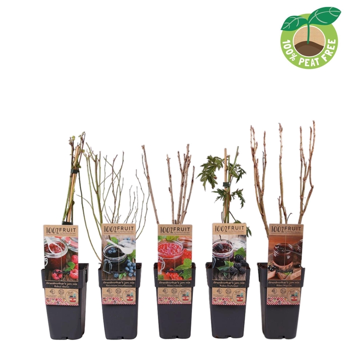 Fruitbomen overig