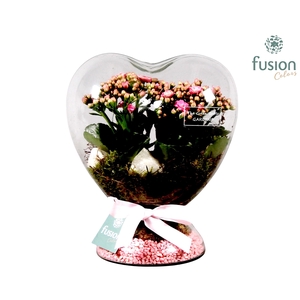 Green Bottle Hart met Kalanchoe