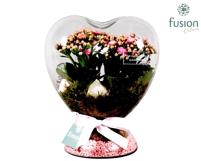 <h4>Green Bottle Hart met Kalanchoe</h4>