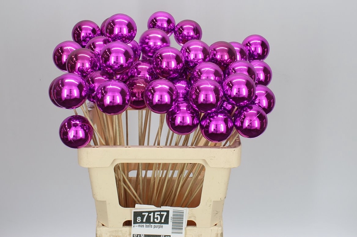 <h4>X-mas Balls Purple</h4>