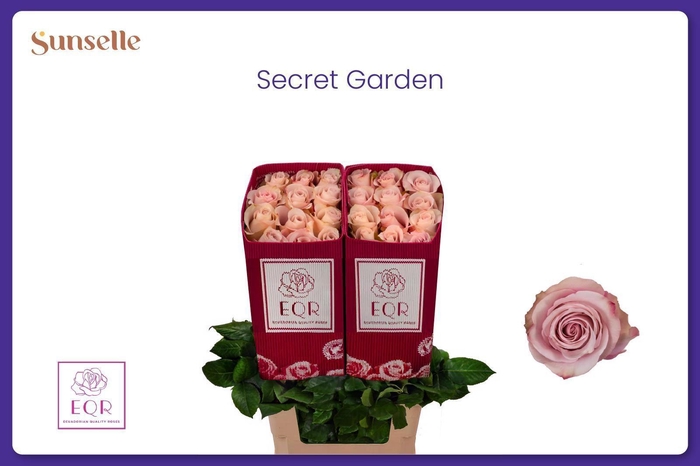 <h4>R GR SECRET GARDEN!</h4>