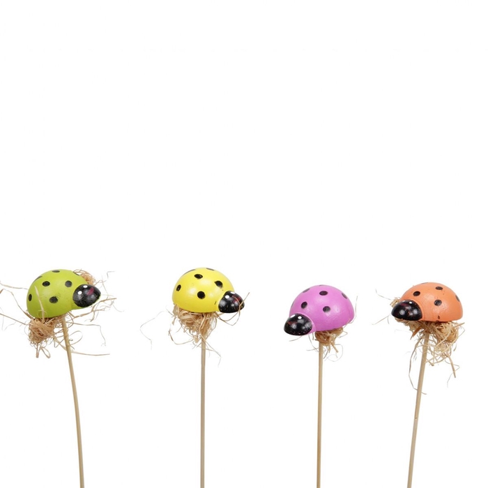 <h4>Love 20cm Ladybird 2.5cm</h4>