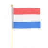 Bijsteker 50cm Vlag Nederland 8*11cm