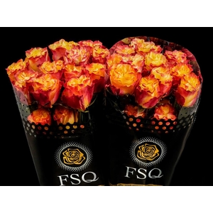 R GR Sunset X-pression