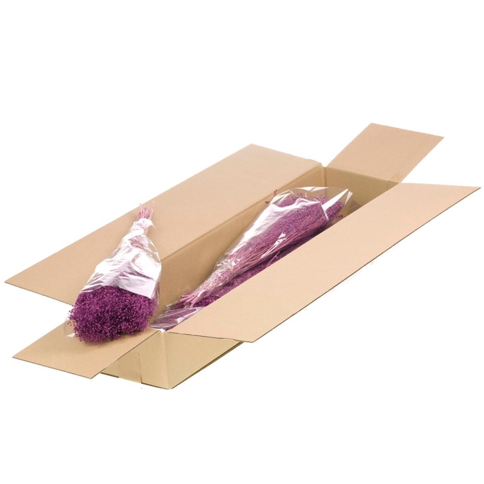 <h4>Broom Bloom Bunch Preserved Sb Bleached Lilac</h4>