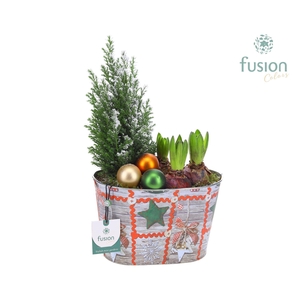 Kerst zink ovaal met Arrangement D22 H38