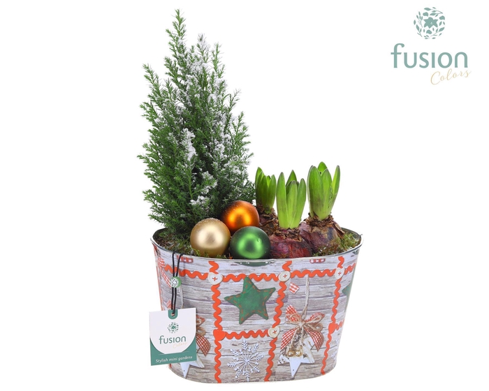 <h4>Kerst zink ovaal met Arrangement D22 H38</h4>