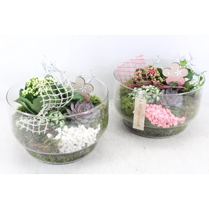 arr2 MB - Glas schaal toronto 335/2