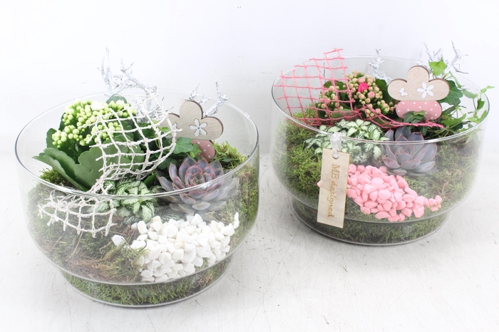 <h4>arr2 MB - Glas schaal toronto 335/2</h4>