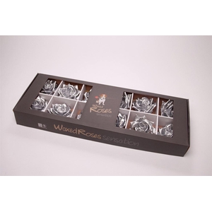 Zijde R Wx (bl) Zilver